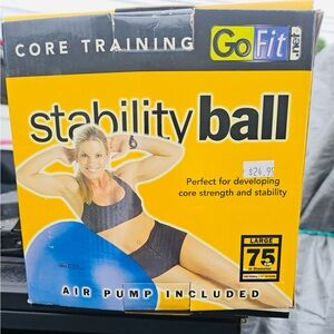 Blue Stability Ball